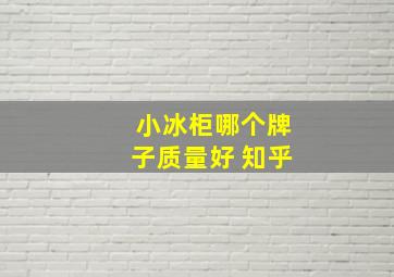 小冰柜哪个牌子质量好 知乎